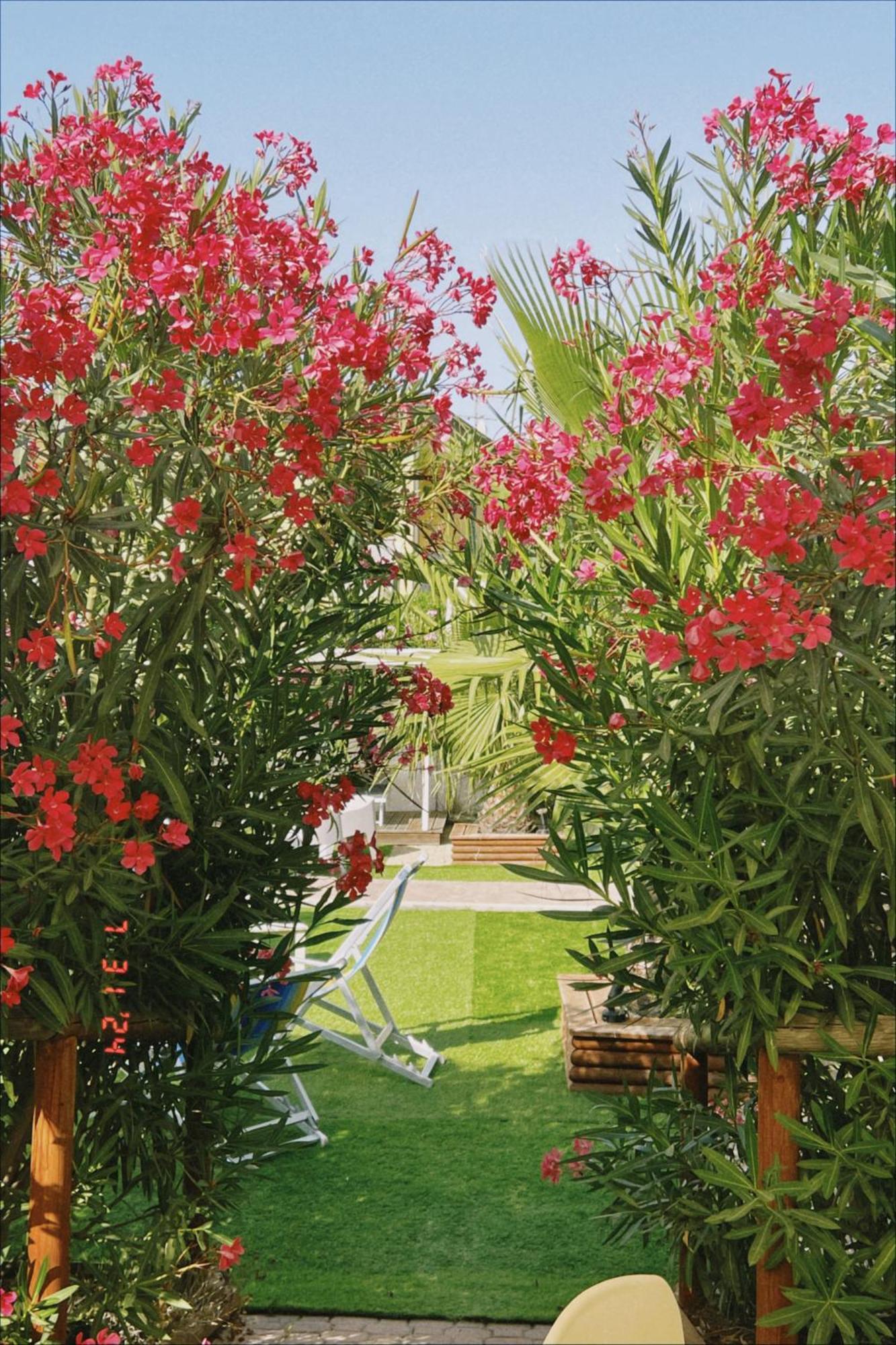 Le Palme Holidays Palmadula ภายนอก รูปภาพ